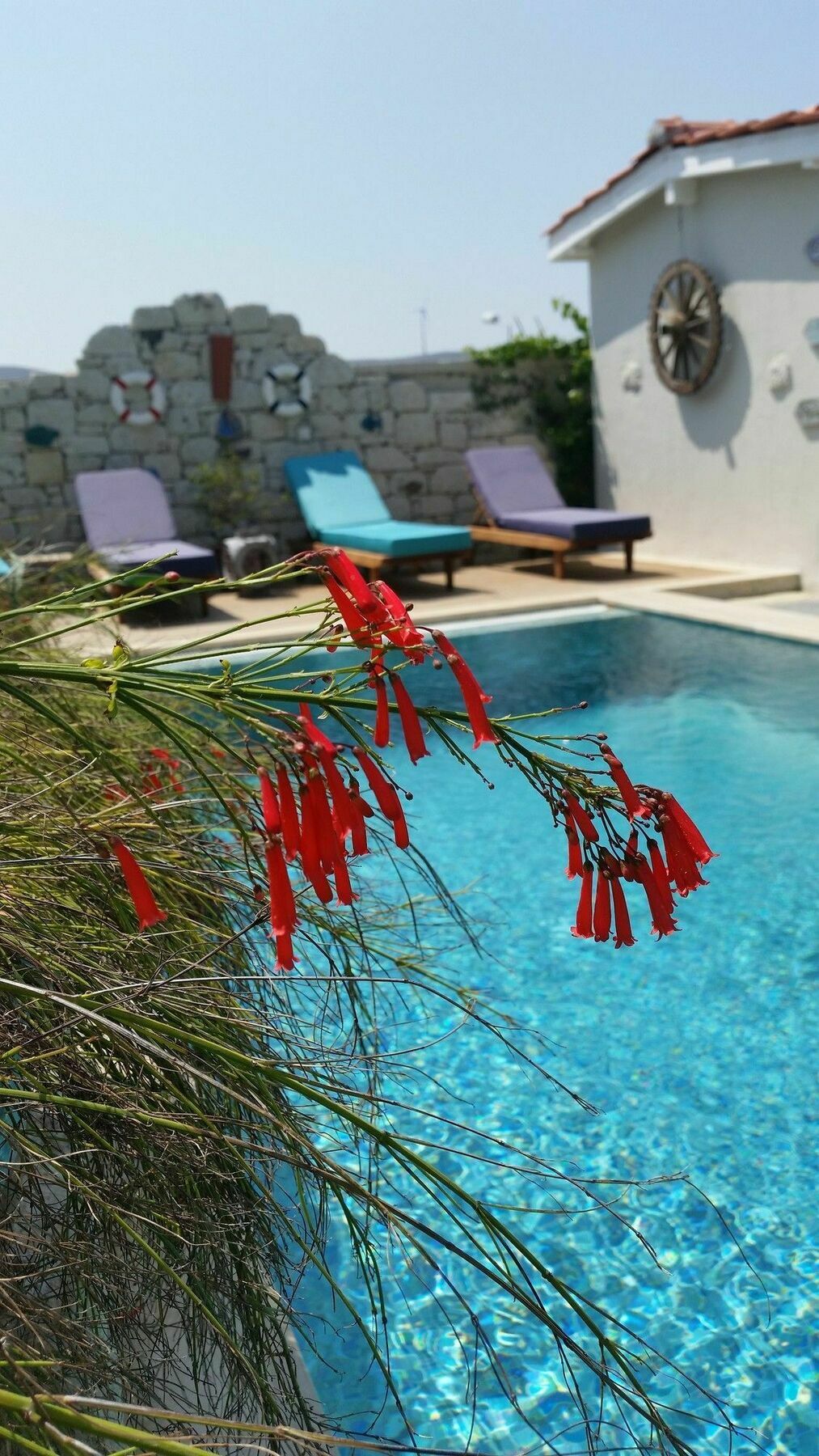 Cassiopeia Hotel Alacati Exterior photo